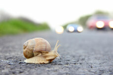 Driving too slowly: what are the risks?